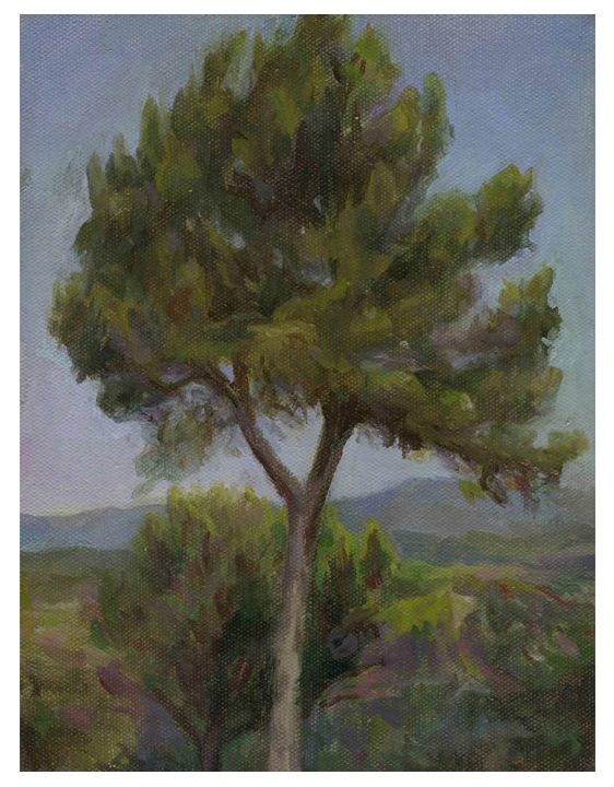 a tree